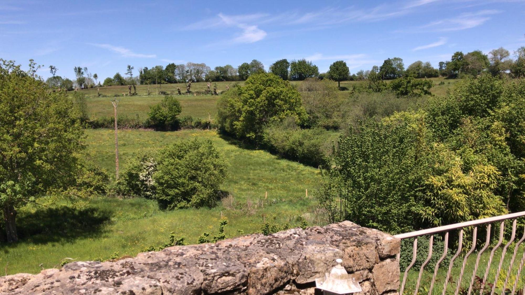 Papillons B&B - Beauty, Comfort And Peace 25 Mins From Puy Du Fou Montournais Esterno foto