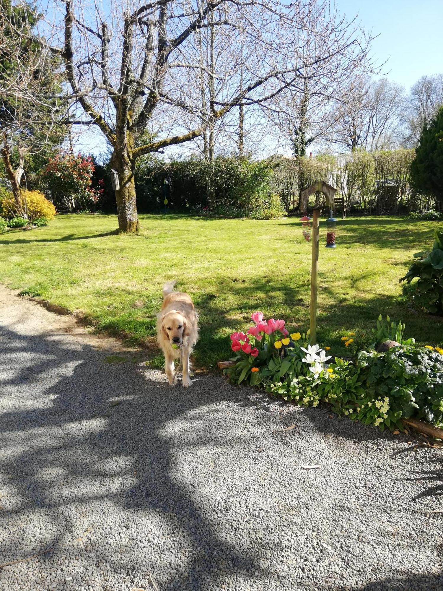 Papillons B&B - Beauty, Comfort And Peace 25 Mins From Puy Du Fou Montournais Esterno foto