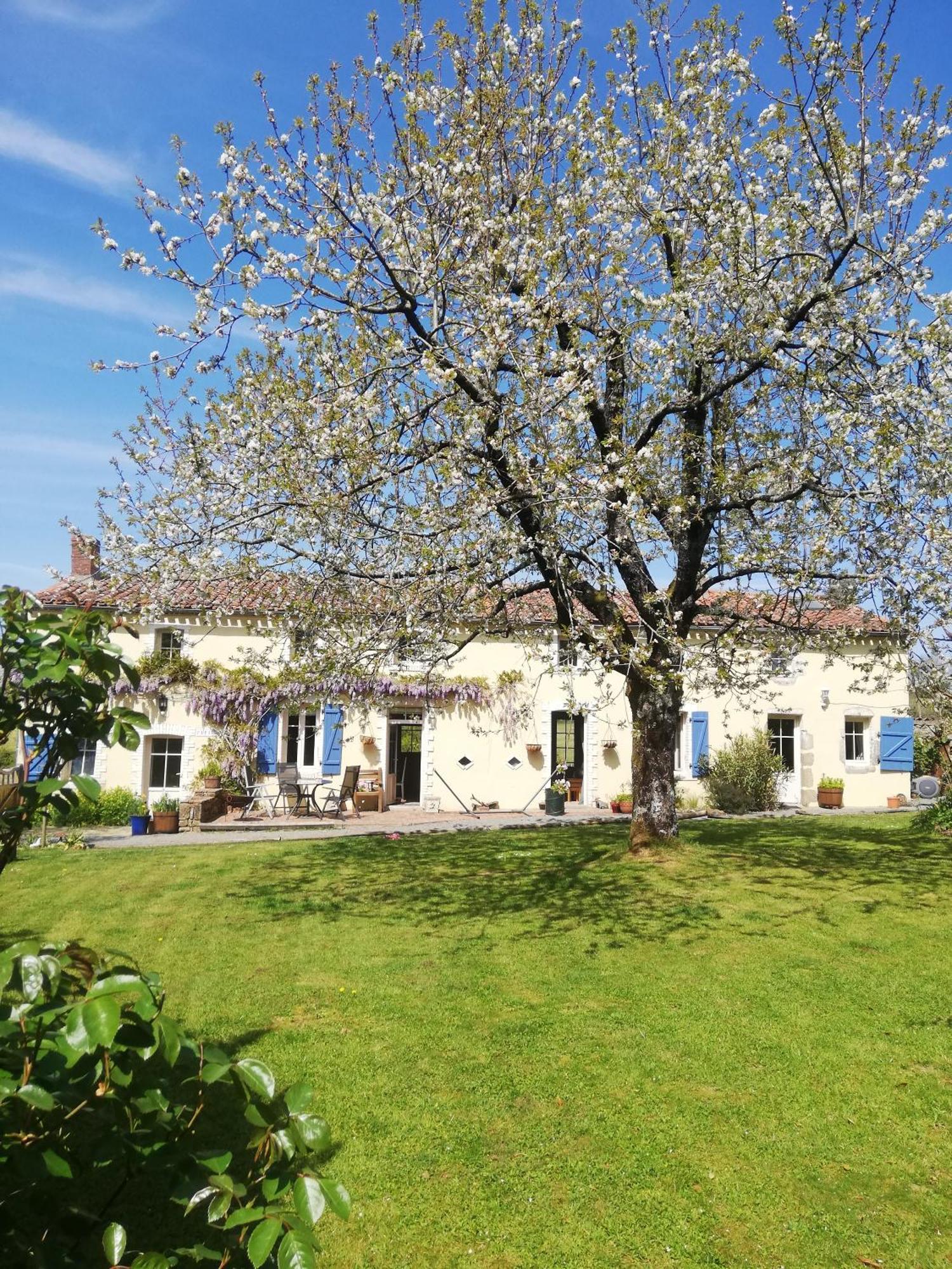 Papillons B&B - Beauty, Comfort And Peace 25 Mins From Puy Du Fou Montournais Esterno foto